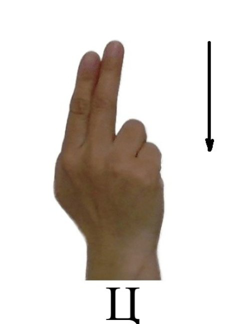 Ц